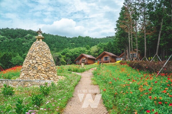 고흥 팔영산 편백 치유의 숲