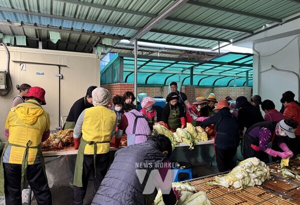 전남 담양군이 15일 용면을 시작으로 12월 5일까지 12개 읍면, 20개 단체 454명이 참여하는 ‘2024년 김장나눔 대축제’를 펼친다.