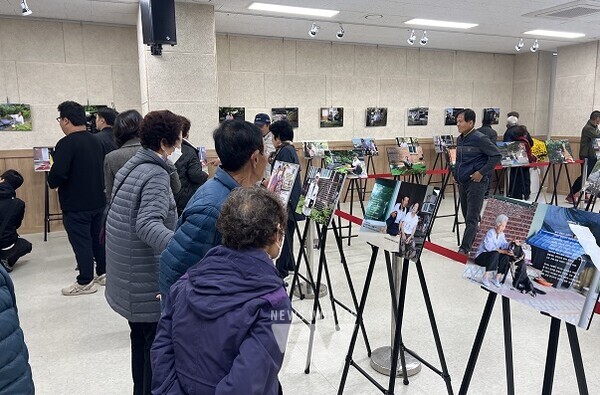 ‘문화600, 인생한컷 및 국화전시회’를 많은 관람객들이 관람하고 있다