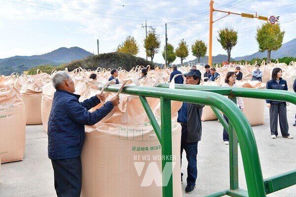 장성군은 올해 공공비축미 건조벼 4295톤을 매입할 계획이다