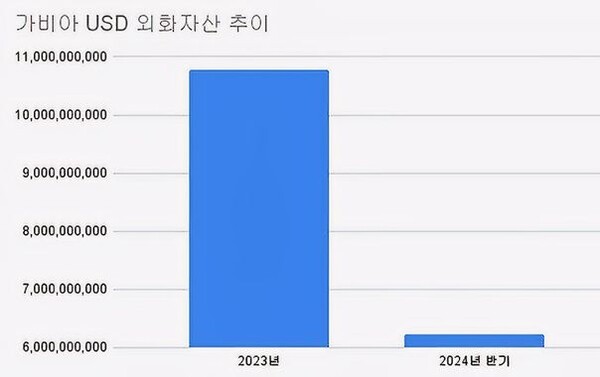(2024.반기)(단위 : 해당 통화)[자료출처 : 금융감독원]" height="377" loading="lazy