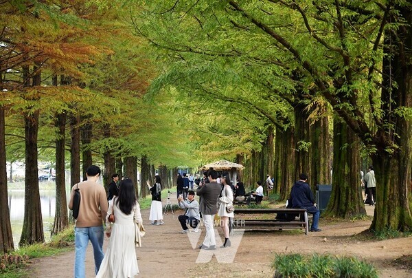 담양의 대표 관광지, 여행 예능 ‘지구마불 남도여행’ 촬영