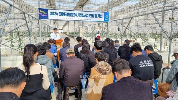 고품질 포도 신품종 재배 실증시범사업 현장