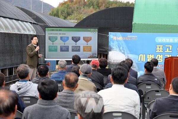 장흥군은 지난 19일 원목재배 표고버섯 신품종인 흥화1·2호의 시범재배 성과에 대해 현장보고회를 갖고 향후 육성 전략을 세웠다.