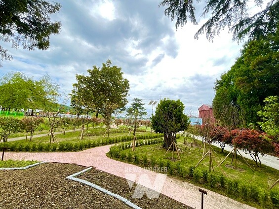 완도 화흥초등학교 숲 조성 후 경관