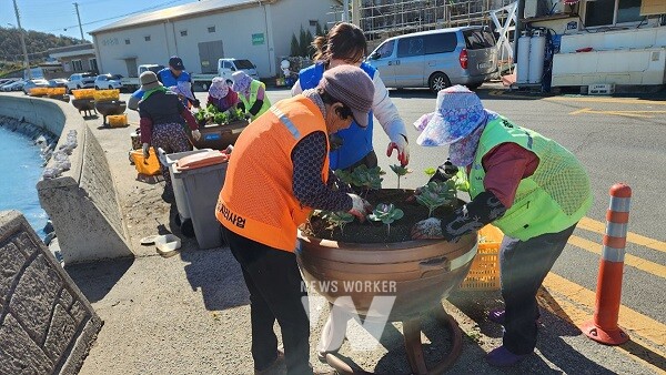 여수시 화정면, 겨울꽃으로 새 단장