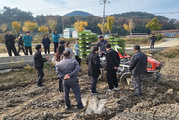 양파 정식 농기계 연시회 모습