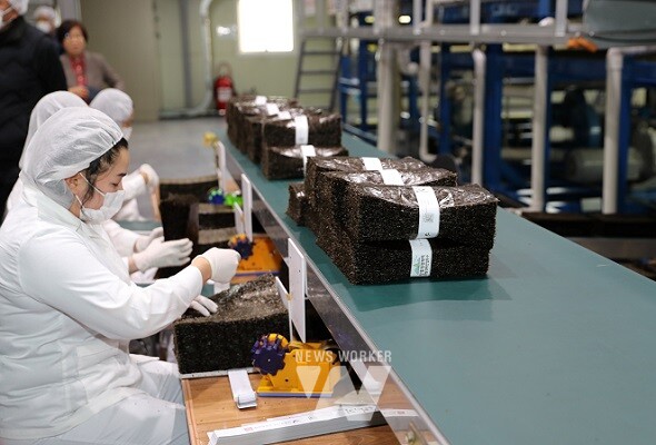 농수산식품 수출- 김 가공공장