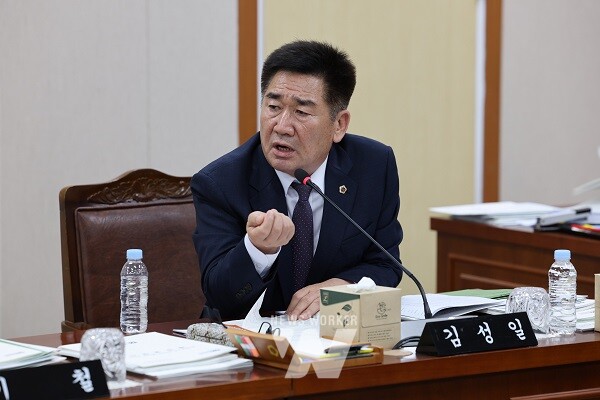 김성일 도의원(해남1)이 11월 25일 2025년도 전라남도자치경찰위원회 소관 예산안 심사에서 질의를 하고 있다.