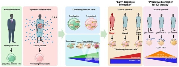 전남대 의대 공동연구팀, '폐암 조기진단' 면역항암치료 예측 바이오마커 발굴