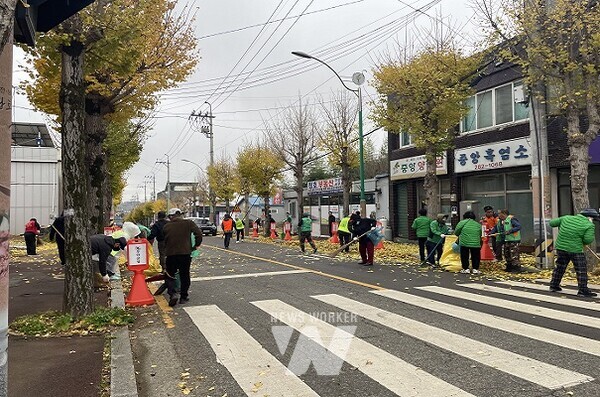 은행나무 낙엽 제거 봉사활동을 진행한 일로읍
