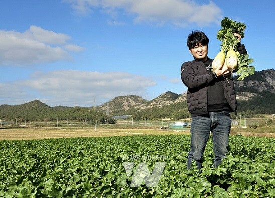 전라남도는 보배섬 진도의 깨끗한 토양에서 해풍을 이겨내고 자란 ‘유기농 무’를 12월의 친환경농산물로 선정했다