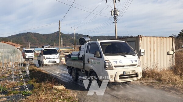 전라남도는 영암에 이어 강진서 고병원성 조류인플루엔자(AI)가 발생함에 따라 감염축 조기색출을 위해 신속한 검사에 나서고, 고위험지역 12개 시군 오리농가 사육제한을 하는 등 확산 차단에 온힘을 쏟고 있다