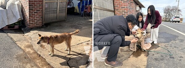 삼도초등학교 목줄과 와이어 이동줄 교체 전후 (진순이)
