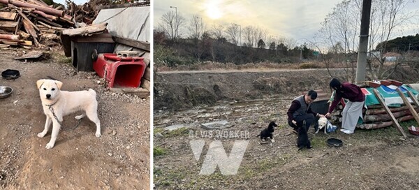 삼도초등학교 목줄과 와이어 이동줄 교체 전후