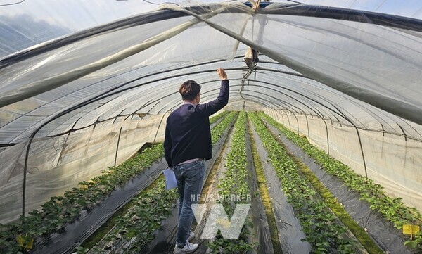 전남 고흥군(군수 공영민)은 겨울철 재해 상황에 사전 대비하기 위해 농업재해 대책 상황실을 설치·운영하며 총력을 기울이고 있다.