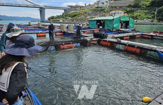 월동 대비 망갈이 모습