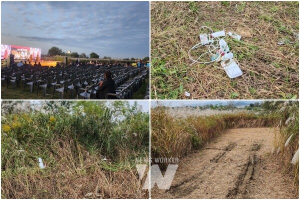 서창억새축제 본무대 행사시작 후, 서창억새축제 후 쓰레기,서창억새축제 후 잘린 억새