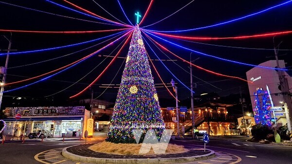 양림오거리 트리