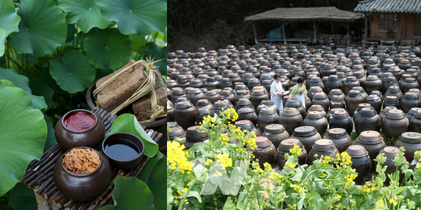 전통 장류- 고추장(기순도 전통식품명인)