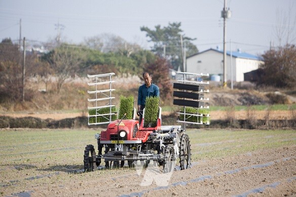 대한민국 최고농업기술명인에 선정된 김덕형 농업인