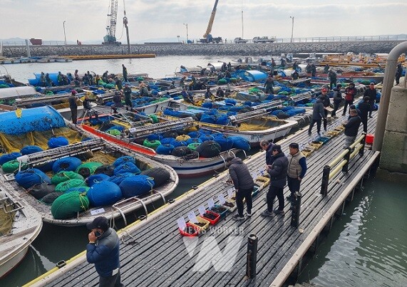 위판되고 있는 무안 지주식 곱창 햇김