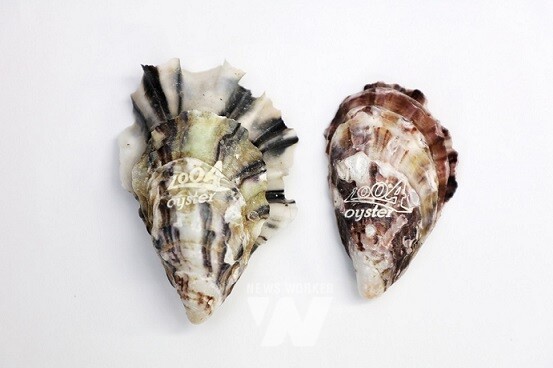 1004굴의 원산지표시 및 고급 브랜드화‘1004로고’레이져 각인