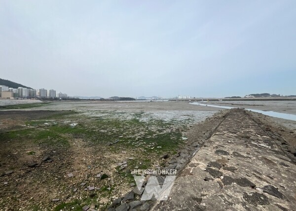 영암군 용당리 갯벌