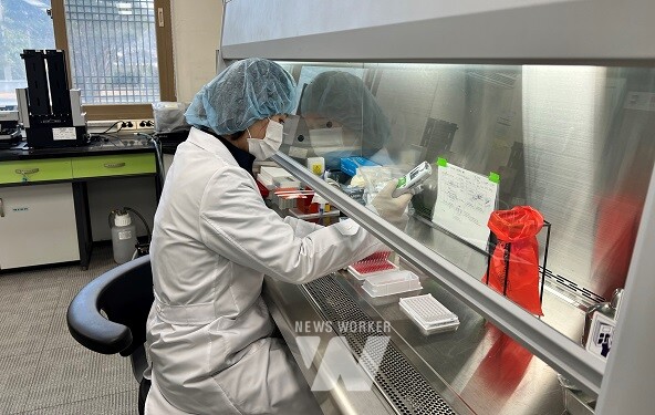 가금 질병 검사