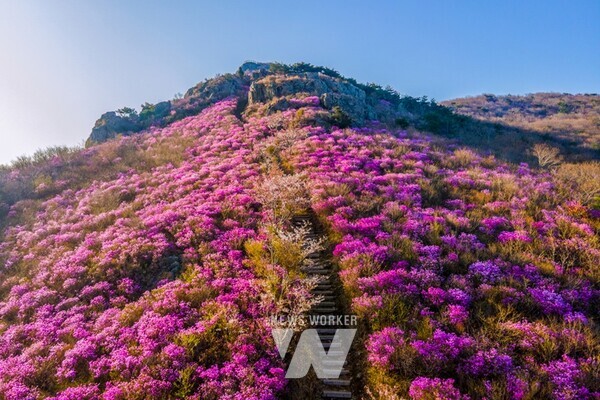 ​여수시, 자연유산(명승) '생태관광지'로 탈바꿈한다 (영취산)