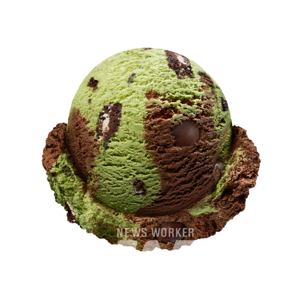 배스킨라빈스 '초코나무 숲' [사진=배스킨라빈스]