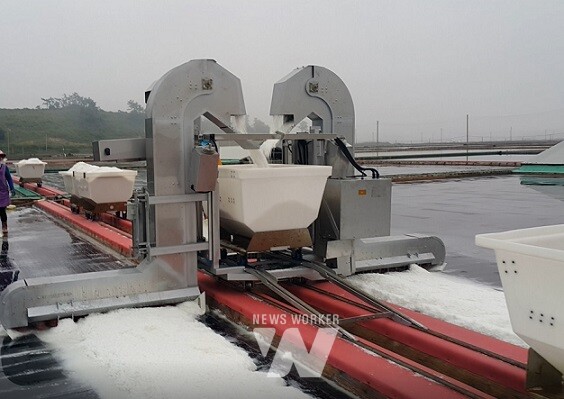 양용 자동채염기(소금을 이동수레로 옮겨 담는 장비)