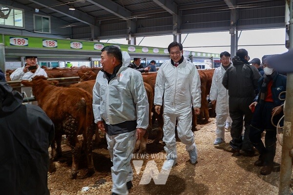 우승희 영암군수 한우경매시장 방문