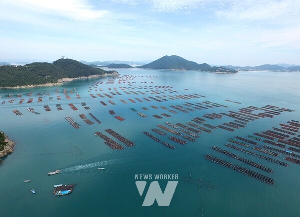 완도읍 전복 양식장 전경