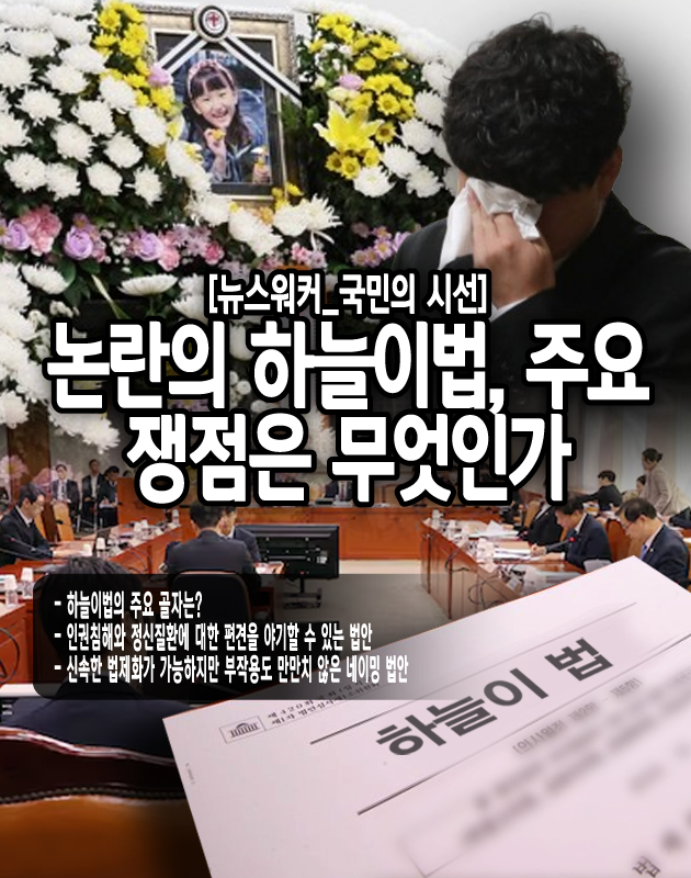 네이밍 법안은 국민적 공감을 빠르게 얻을 수 있지만, 그만큼 법안의 세부적인 검토가 부족할 수 있다. 민식이법의 경우 어린이 보호 효과를 높였다는 평가도 있지만, 일부 악용 사례가 발생하며 논란을 빚었다. 하늘이법 역시 학교 내 안전을 위한 법안이지만, 정신질환자 차별이라는 부작용을 어떻게 최소화할 것인지 면밀한 검토가 필요하다.[편집자 주]