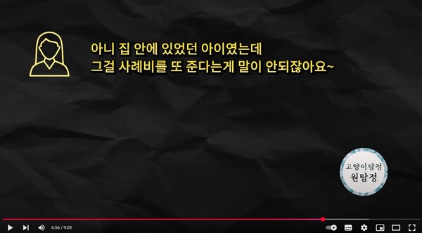 [사진=고양이탐정:원룸사는 고양이 유튜브 채널 영상 '고양이를 찾아드렸는데 법대로 하라는 의뢰인' 캡처]