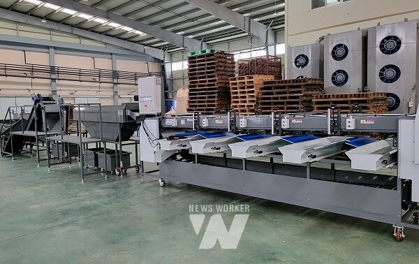 밭작물 공동경영체 육성- 무안 호남영농법인 마늘선별라인