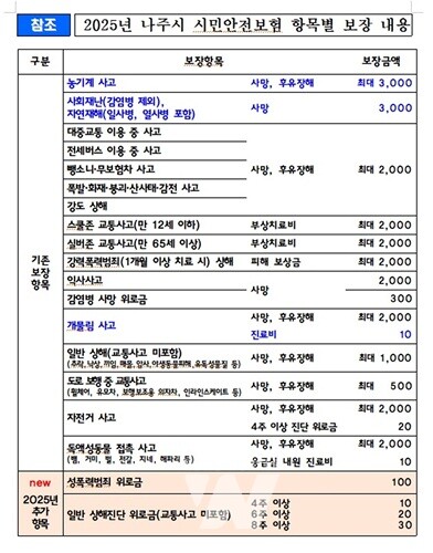 2025년도 나주시 시민안전보험 항목별 보장내용. (사진제공-나주시)
