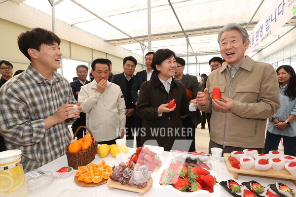 강호동 농협중앙회장(오른쪽 1번째)이 송미령 농림축산식품부 장관(2번째)과 함께 지난 12일 청년농업인의 스마트팜 농가에서 청년농의 스마트농업 정착에 관해 이야기하고 있다.