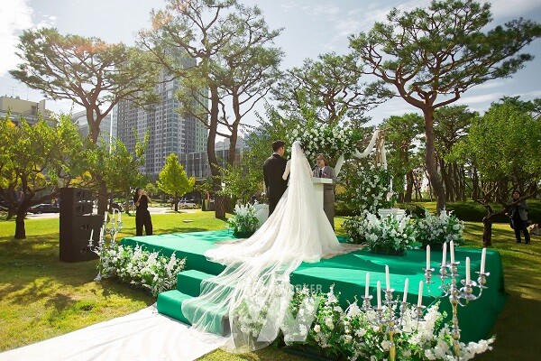 시청사 야외웨딩