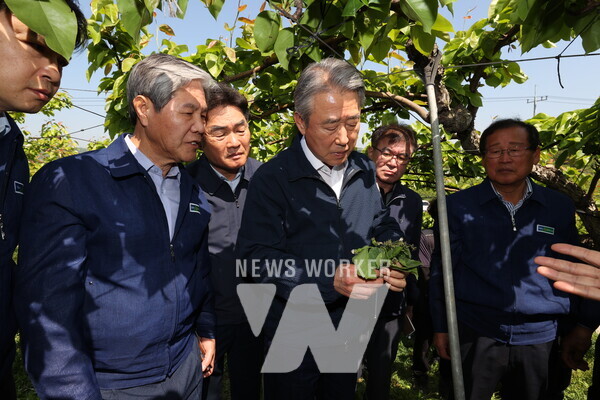 농협중앙회 강호동 회장(왼쪽에서 3번째)은 경북 상주를 찾아 최근 이상저온으로 냉해 피해를 입은 배 재배농가를 방문하여 피해상황을 점검하고 있다.