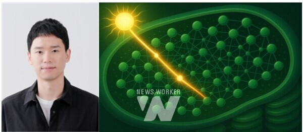 (좌) 대표교신저자 KENTECH 김희태 교수, (우) 광합성 에너지전달 네트워크 개념 그림