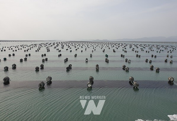 연안어장 재배치-해남 김양식장