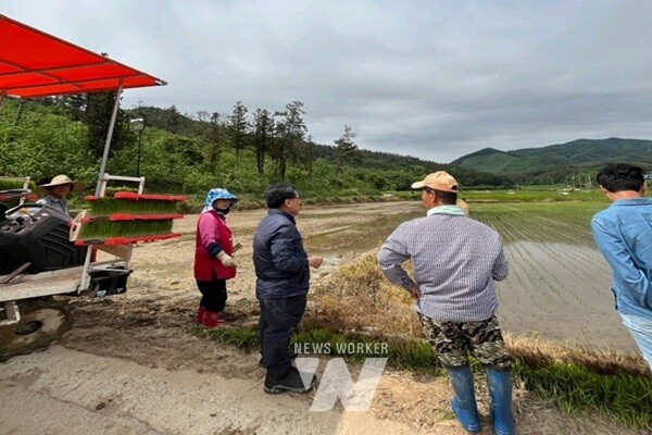 장흥군 장평면(면장 한성수)은 제21대 대통령 선거와 관련해 지역 유권자의 권리 행사를 독려하기 위해 투표참여 홍보 활동을 추진한다