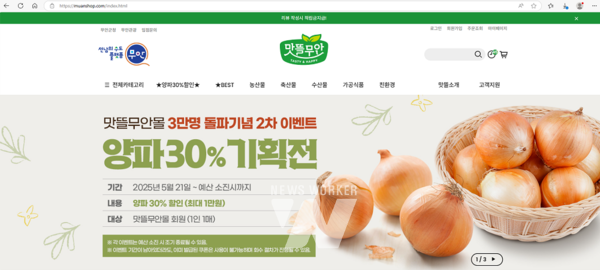 맛뜰무안몰 양파 할인전 홍보물