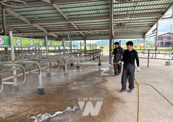 전라남도가 무안지역 구제역 발생에 따른 방역지역 이동제한 조치를 23일 모두 해제했다
