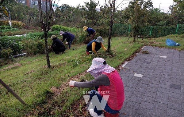 2025년 상반기 공공근로사업 노안산단 주변 풀매기 작업 (사진제공-나주시)