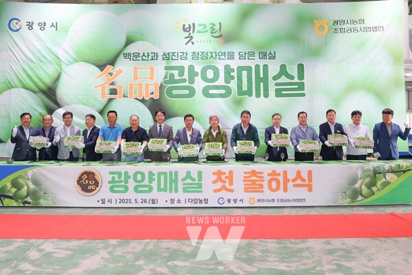 정인화 광양시장, 도·시의원, 농협중앙회 전남본부장, 농협광양시지부장 및 관내 지역농협장 등 산지 유통 관계자 50여 명이 참석해 광양 매실의 첫 출하를 축하했다