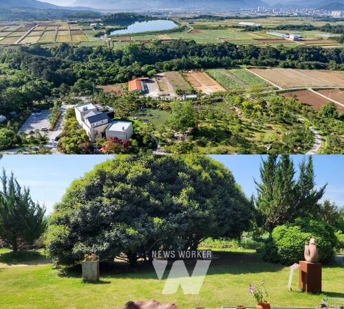 천개의 향나무숲 정원(제14호), 반야원(제21호)