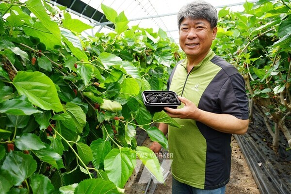 박성관 유기농명인(문내면 명랑농원)